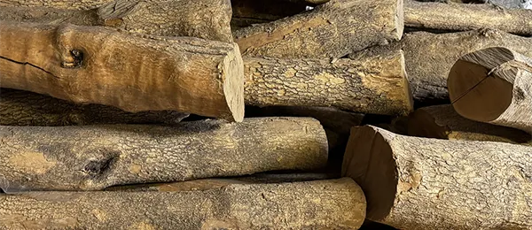 Billes de bois brut avant le tournage